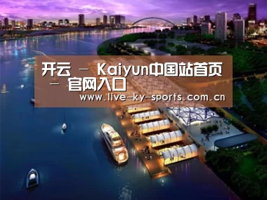 案例展示八