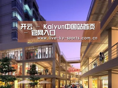 案例展示一